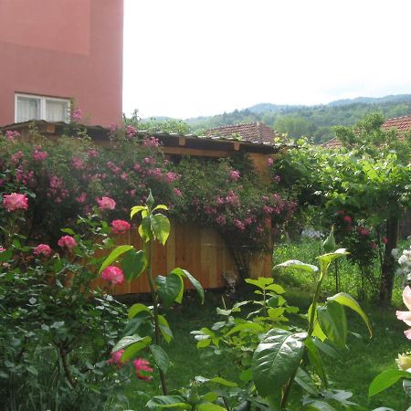 Călimăneşti Casa Fabrizio酒店 外观 照片