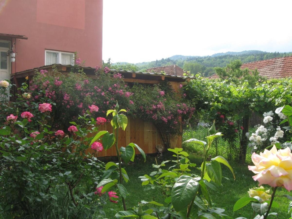 Călimăneşti Casa Fabrizio酒店 外观 照片