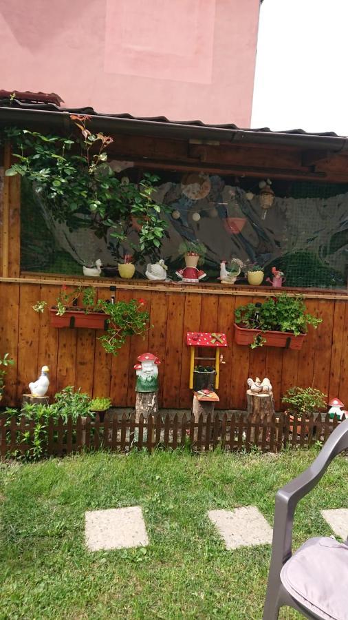 Călimăneşti Casa Fabrizio酒店 外观 照片
