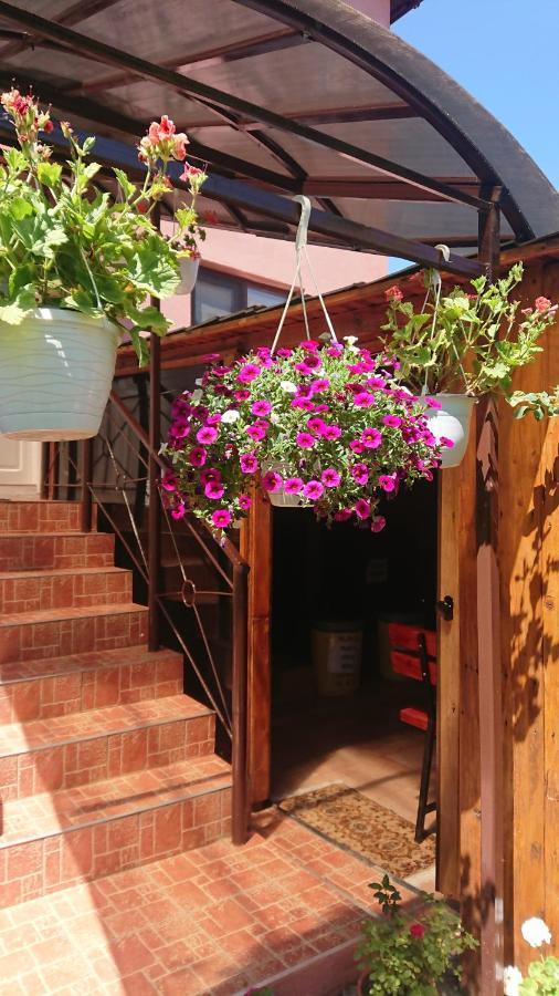 Călimăneşti Casa Fabrizio酒店 外观 照片