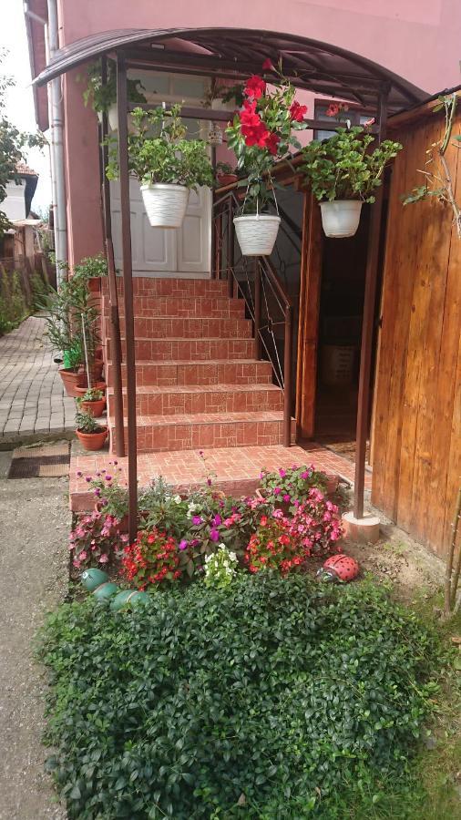 Călimăneşti Casa Fabrizio酒店 外观 照片